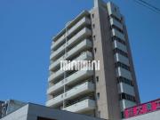 BORAX TOWER