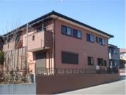 オリーブの樹つくば