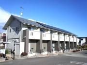 チェリーブロッサム