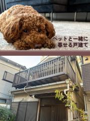 四つ木2丁目戸建