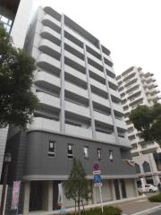 D Forest 甲南