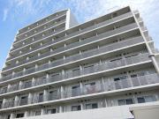 東武亀戸線亀戸水神駅まで徒歩9分