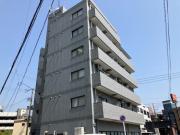 Y′sBLD 21