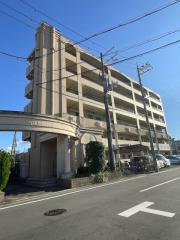 ルミナスコート
