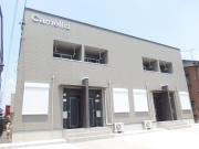 Camellia