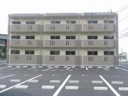 ユーミーイワミII