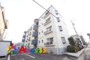 ホワイトハイツII