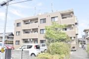 ライクホース三宅