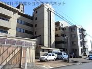 メイプル紫竹山