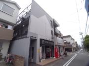 カサ水木