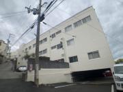 オオタニサンクレバー