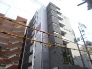 STEL LA白銀
