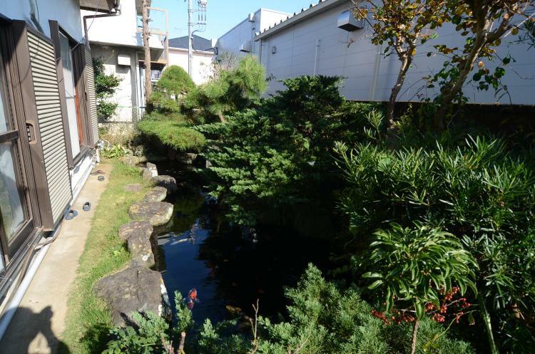 建物東南側にある池の様子