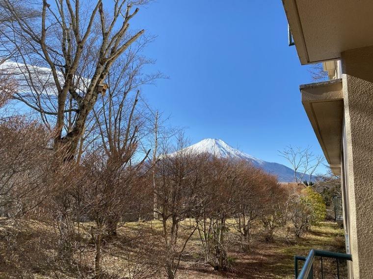 バルコニー右側の眺望　富士山を望みます