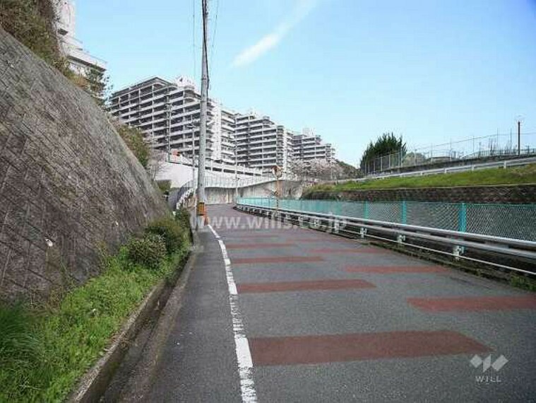 敷地東側の前面道路（南側から）