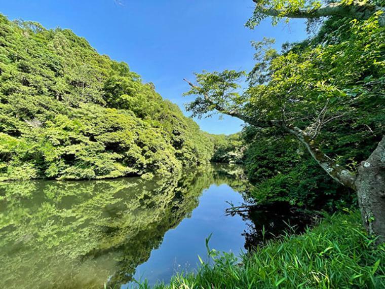 鎌倉湖とも呼ばれる散在ケ池と、その周辺2.4kmの散策路があり、自然がそのまま残されています。