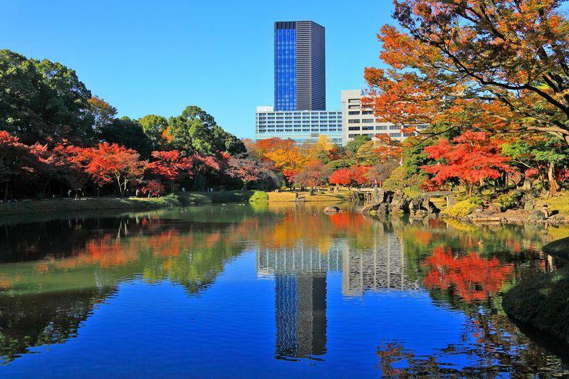 歴史ある「小石川後楽園」は厳かな雰囲気が漂う美しい庭園です。