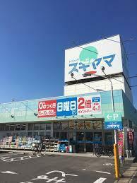 ドラッグスギヤマ大野木店