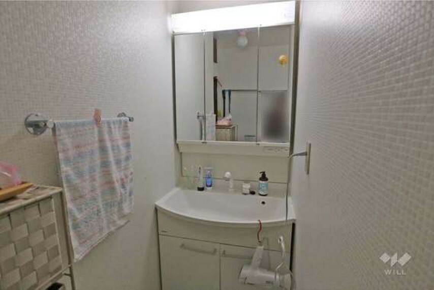 洗面室［2024年2月19日撮影］。丁寧にお使いです。収納できるスペースもあり。三面鏡となっています。