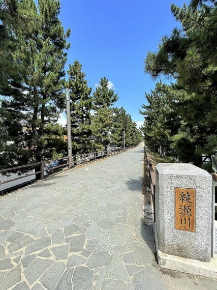 綾瀬川沿いには草加松原の松並木があり、のんびりお散歩ができます。