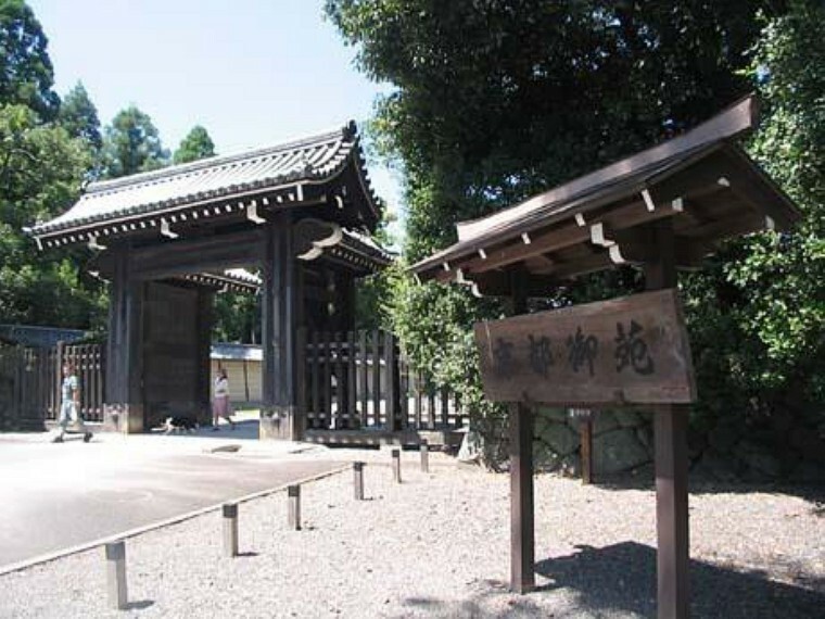 京都御苑 豊かな自然、野鳥や草木の観察、小さなお子様も安心して遊べます。