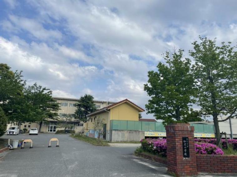 加茂小学校まで1600m（徒歩20分）　元気に歩いて、毎日の通学で足腰を鍛えることが出来ますね。