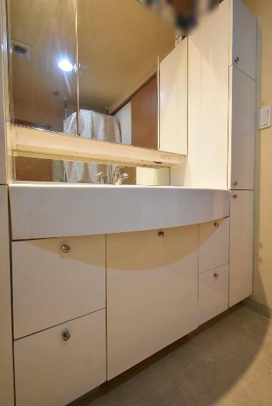 豊富な収納スペースを兼ね備えた洗面化粧台