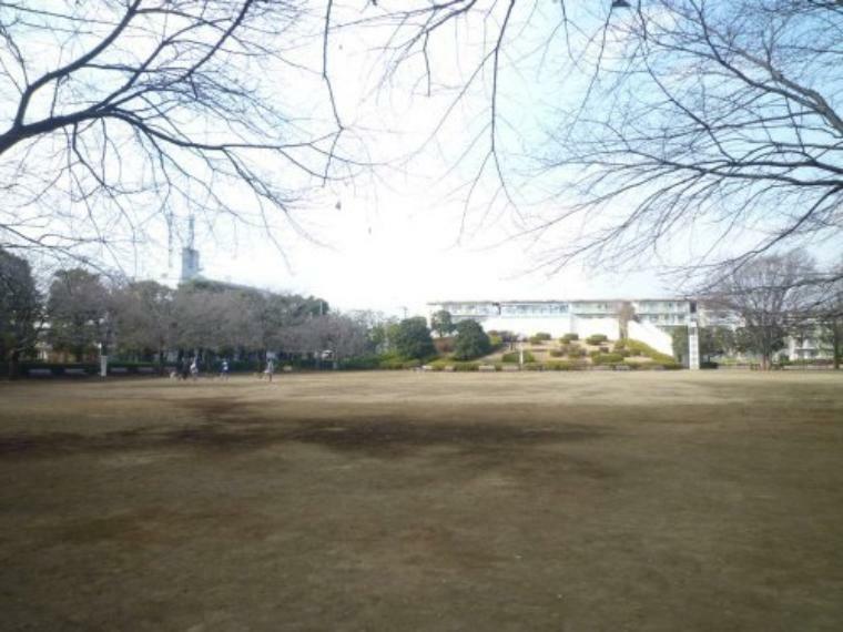 【公園】文理台公園まで218m