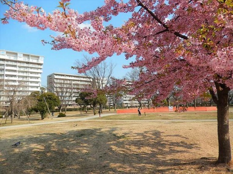 福岡中央公園