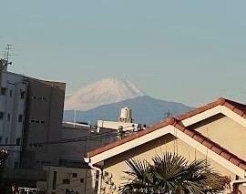 庭から見た富士山遠景（手前は丹沢山系）