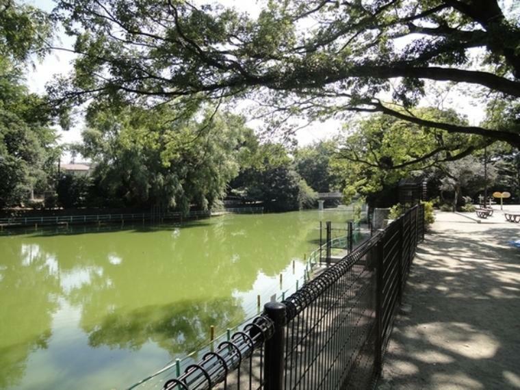 武蔵関公園 【武蔵関公園】公園の約半分の面積を占める大きなひょうたん型の池があり、「葦の島」と「松の島」という2つの島があります。ボート場がありますので、休日には野鳥や公園のみどりを眺めてみてはいかがでしょうか。