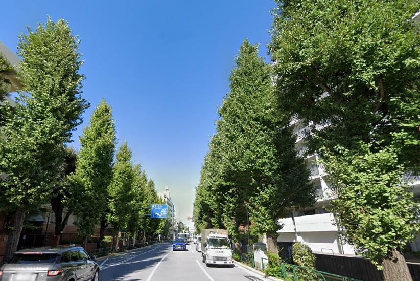 東京メトロ副都心線「雑司が谷駅」最寄り。緑豊かな目白通り沿いに立地します。