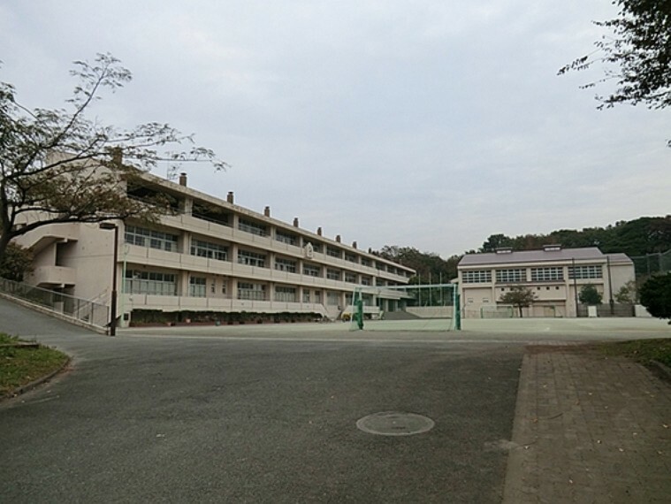 横浜市立本牧小学校　距離約500m