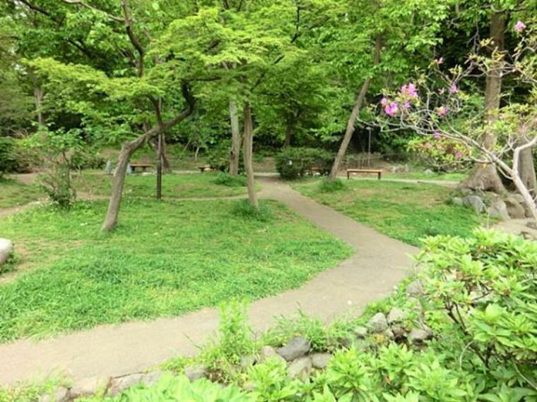蒔田の森公園 小川が流れる小さな公園。そのままの自然を残しており、春には桜、秋にはもみじ、どんぐりの実を集めるのも楽しいですよ