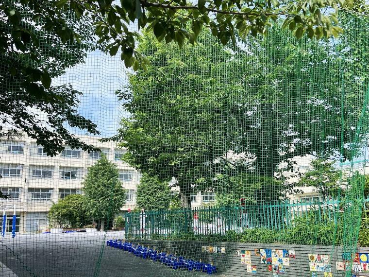 横浜市立日吉南小学校（●2022年に55周年の開校記念日を迎えた日吉南小学校。全学年4クラス構成で近年は大規模校となっており大変活気ある小学校です●）