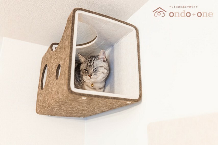 【にゃんぺき】猫ちゃんの好奇心をくすぐる穴のあいたトンネル とっておきの隠れ家になります。