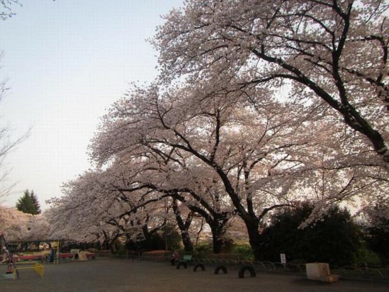 元横山公園迄390m