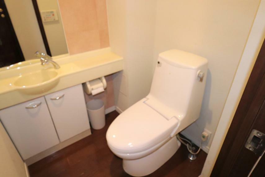 ゆったりとしたスペースがあるトイレ内には、ご覧の様にカウンター付の手洗い器があります。