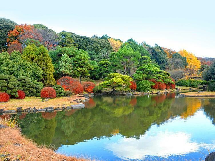 歴史ある小石川植物園を含め複数の自然豊かなスポットが多く、お子様を育てる環境にも最適です！