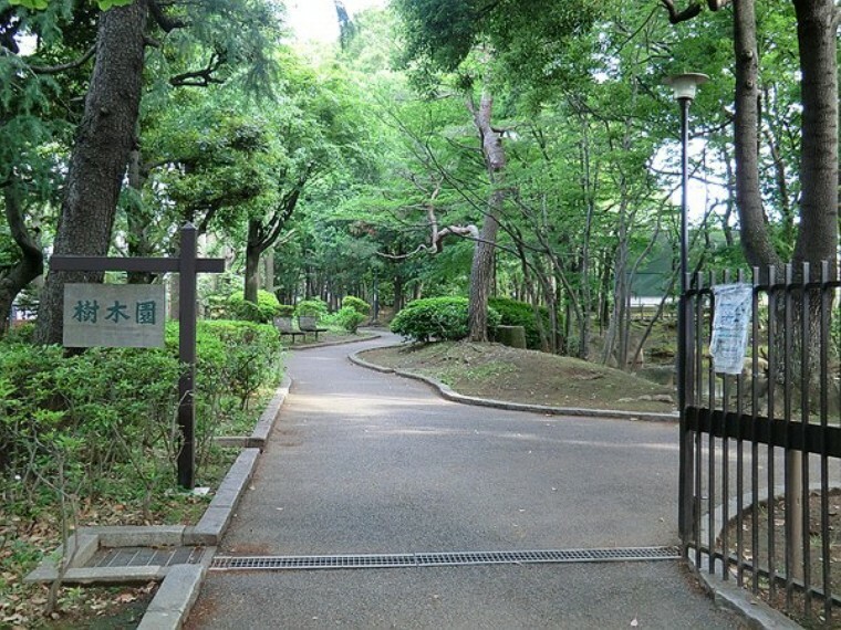 周辺環境:駒沢緑泉公園