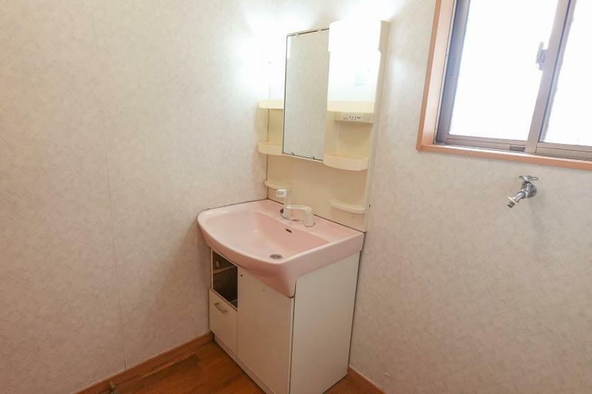 室内（2024年2月）撮影 洗面化粧台 ハンドシャワー付き洗面化粧台