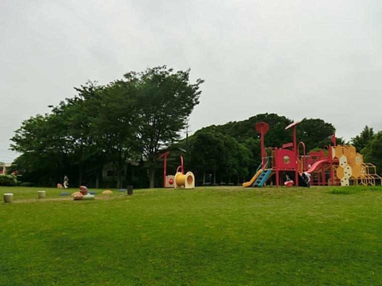 御殿辺公園（緑がきれいで広々した広場をお散歩できます。大型遊具はお子様に人気！立派な銀杏並木が有名です。）