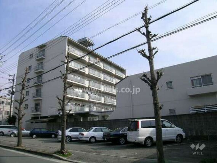 藤和池田コープの外観（右側の低層棟と左側の高層棟の全2棟で構成されています。）