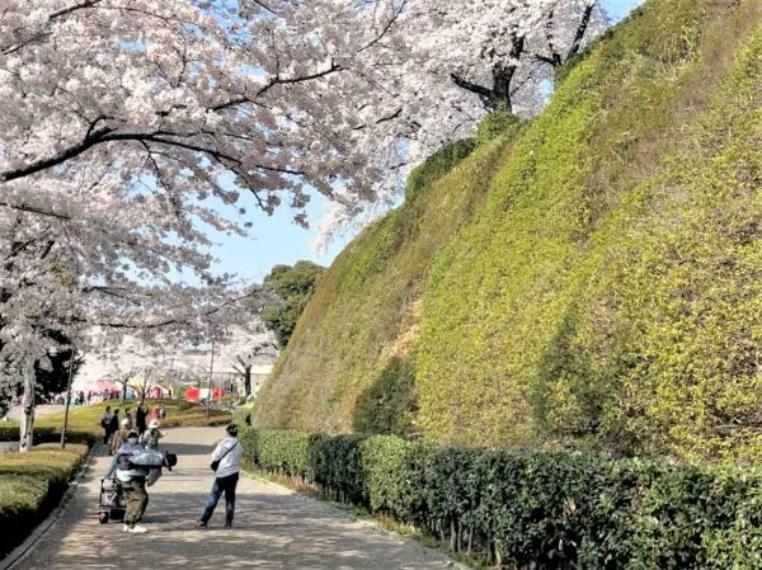 【周辺施設/公園】前橋公園まで約1100m（車3分）。春は桜がきれいな公園。ご家族とお花見を楽しまれるのはいかがでしょうか。