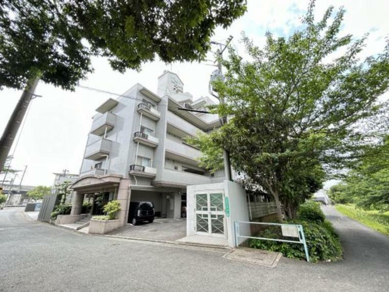 【マンション外観】那珂川沿いに建つマンションで、近隣には公園が点在する緑豊な立地です。お散歩をするのもいいですよ。