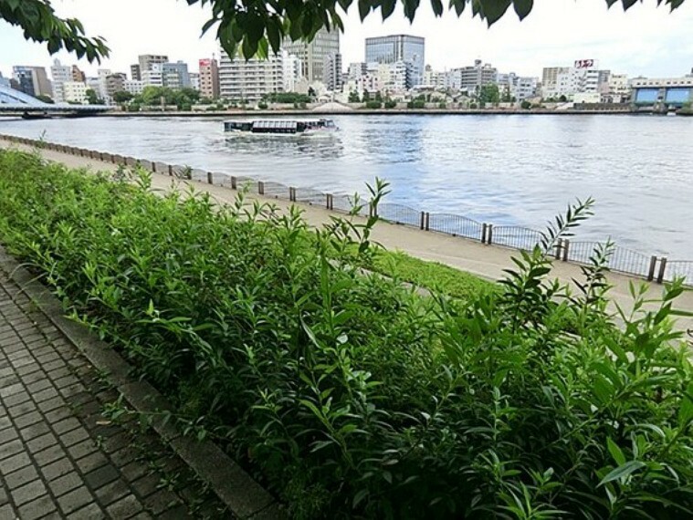 ジョギングや散歩が出来る隅田川沿いの公園です。