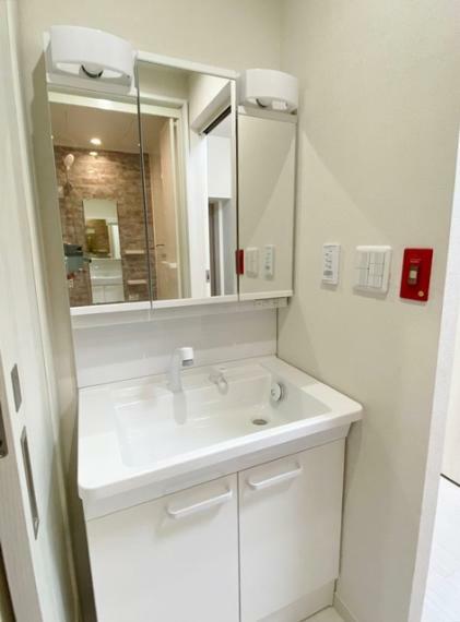 ワイドなボウルにハンドシャワー水栓が付いた洗面化粧台。