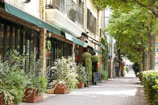 美しいイチョウ並木が伸び、カフェ・レストラン・ショップが軒を連ねる「プラチナ通り」