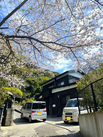天空の家…春は桜が咲き誇ります。
