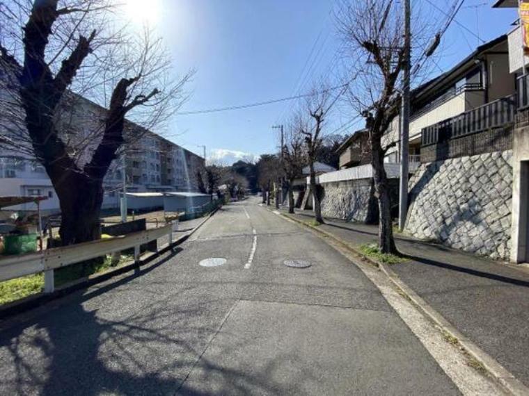 前面道路は、広い歩道がございます。